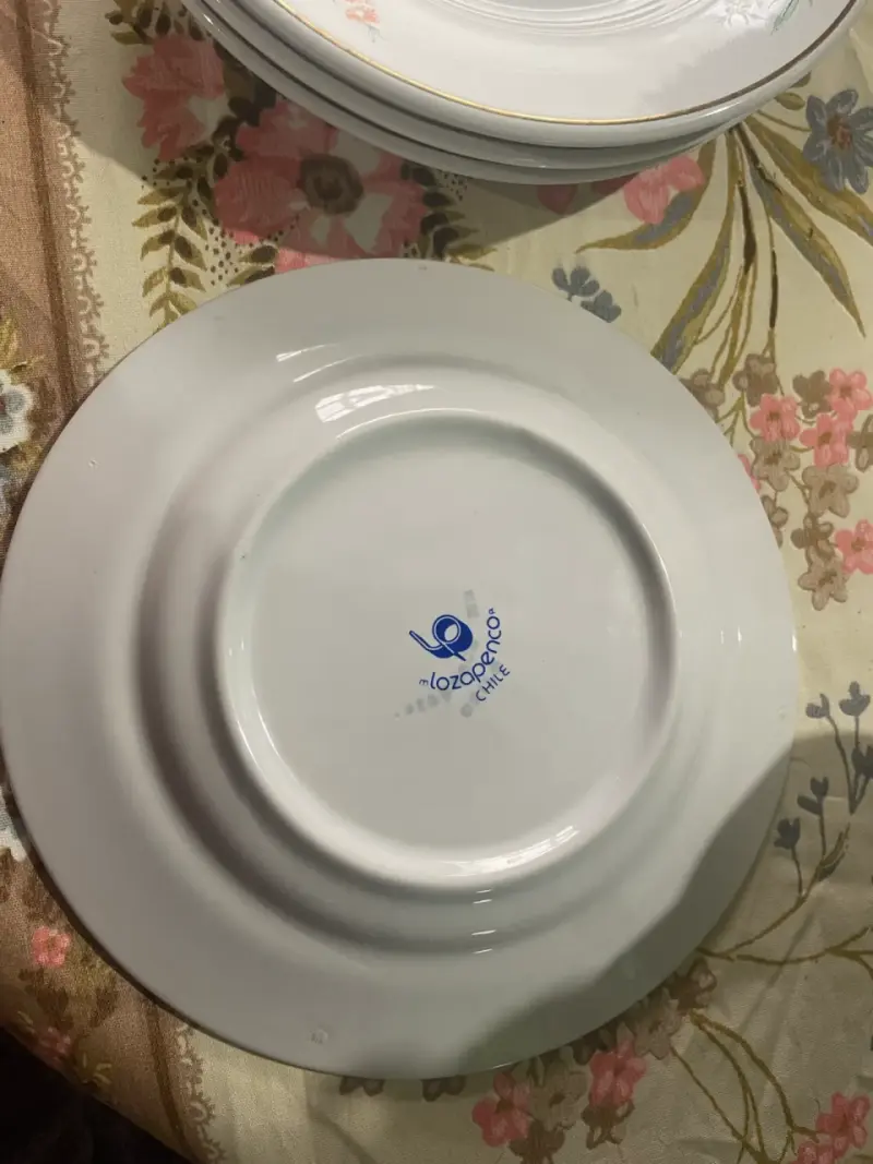 Juego de platos lozapenco con diseño floral - 6