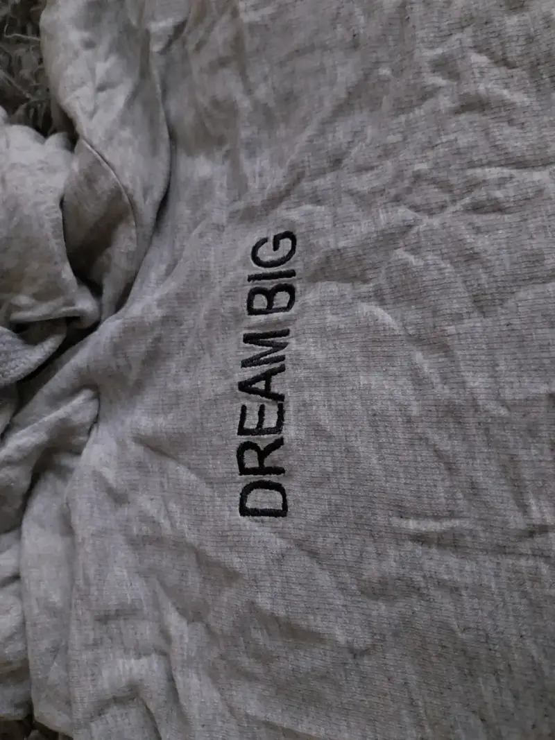 Polera gris con capucha 'Dream Big' Divided - 2
