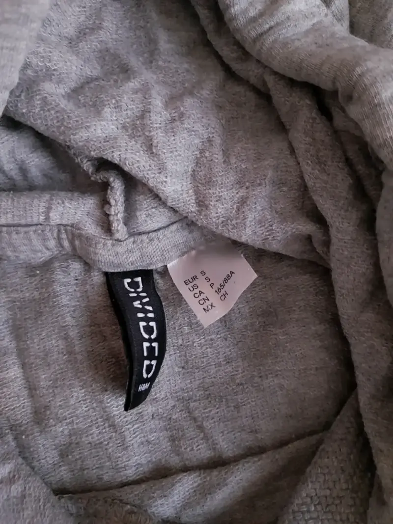 Polera gris con capucha 'Dream Big' Divided - 3