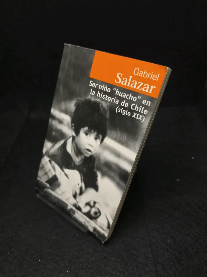 Libro 'Ser niño huacho en la historia de Chile' de Gabriel Salazar - 3