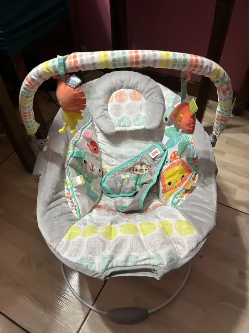 Saltador de cuna Bright Starts Whimsical Wild - 1