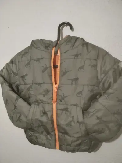 Chaqueta de niño con capucha y diseño de dinosaurios - miniatura 1