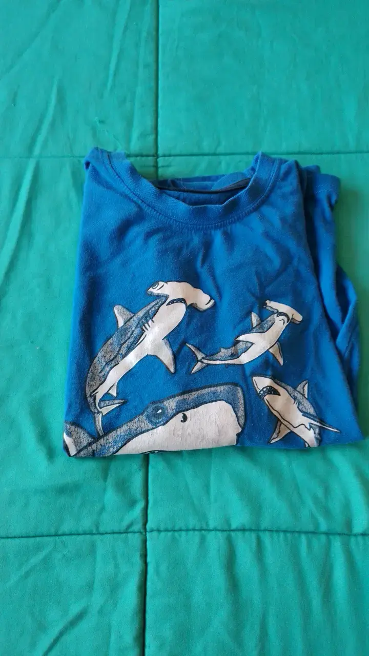 Pack de poleras estampadas para niños - 2