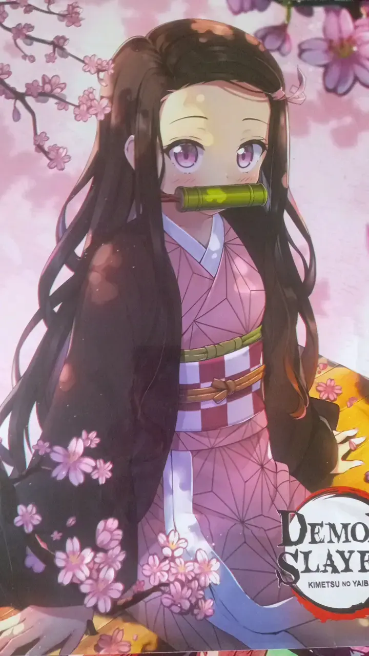 Set de 4 pósters de anime populares - 2