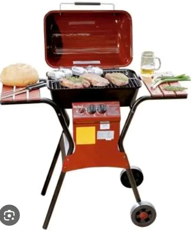 Parrilla a gas Mr Beef con ruedas - 1