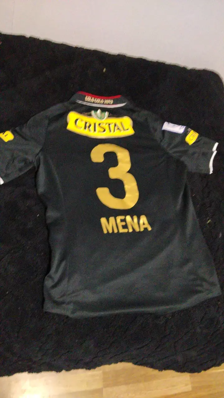 Polera Colo-Colo 2013 Original - 2