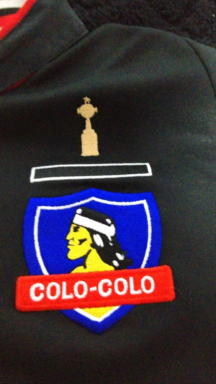 Polera Colo-Colo 2013 Original - 3