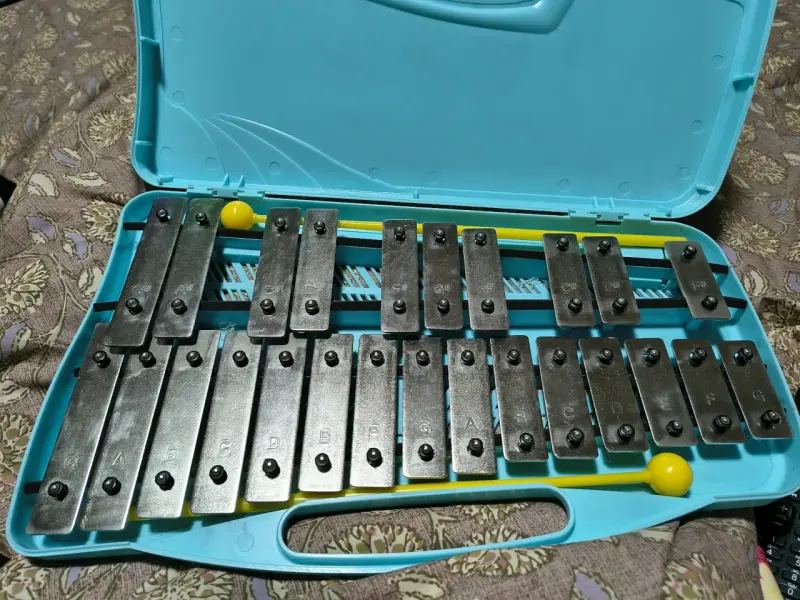 Xilófono Glockenspiel de 25 Notas con Estuche - 1