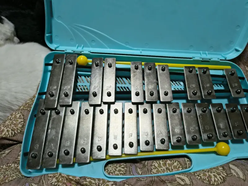 Xilófono Glockenspiel de 25 Notas con Estuche - 3