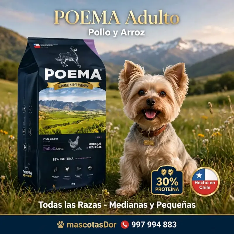 Alimento perros Poema Adulto Pollo y Arroz 3kg - 1
