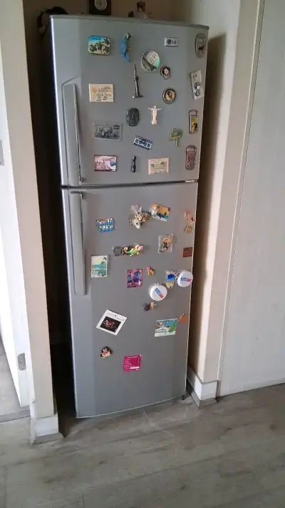 Refrigerador LG gris con imanes decorativos - miniatura 1