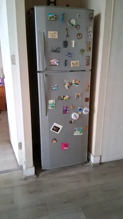 Refrigerador LG gris con imanes decorativos - miniatura 2