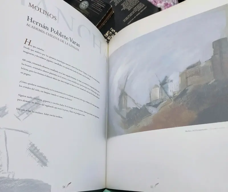 Libro 'Los Caminos de La Mancha' edición especial - 3