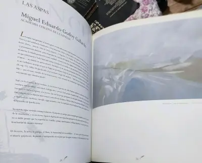 Libro 'Los Caminos de La Mancha' edición especial - miniatura 4