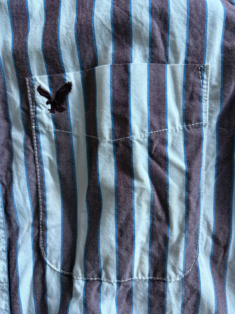 Camisa a rayas American Eagle slim fit - 3