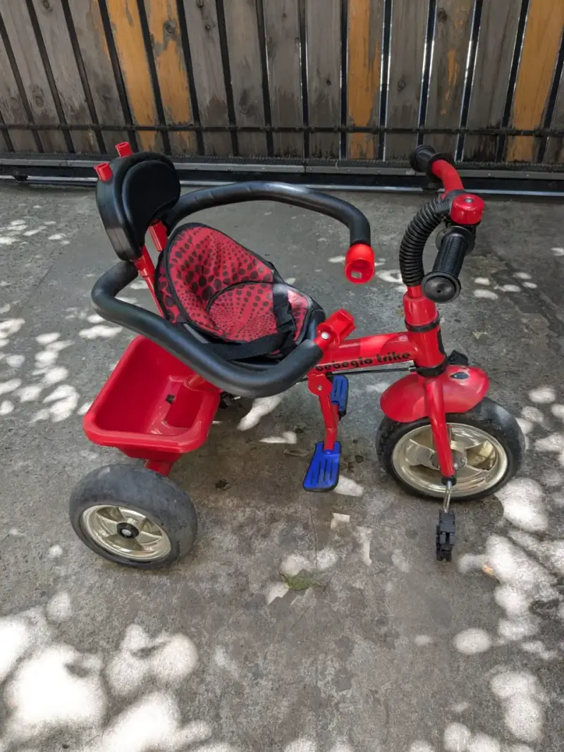 Triciclo infantil con techo de chinita desmontable - 3
