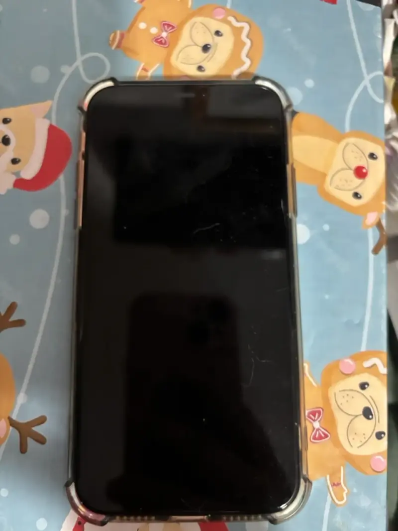 iPhone con funda protectora y soporte - 1