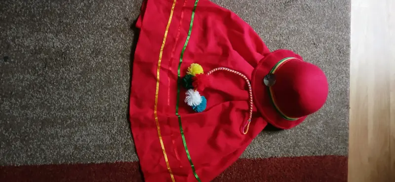 Traje Nortino Chileno para Niña - 2