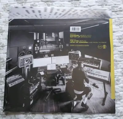 Vinilo Twenty One Pilots Location Sessions - miniatura 2