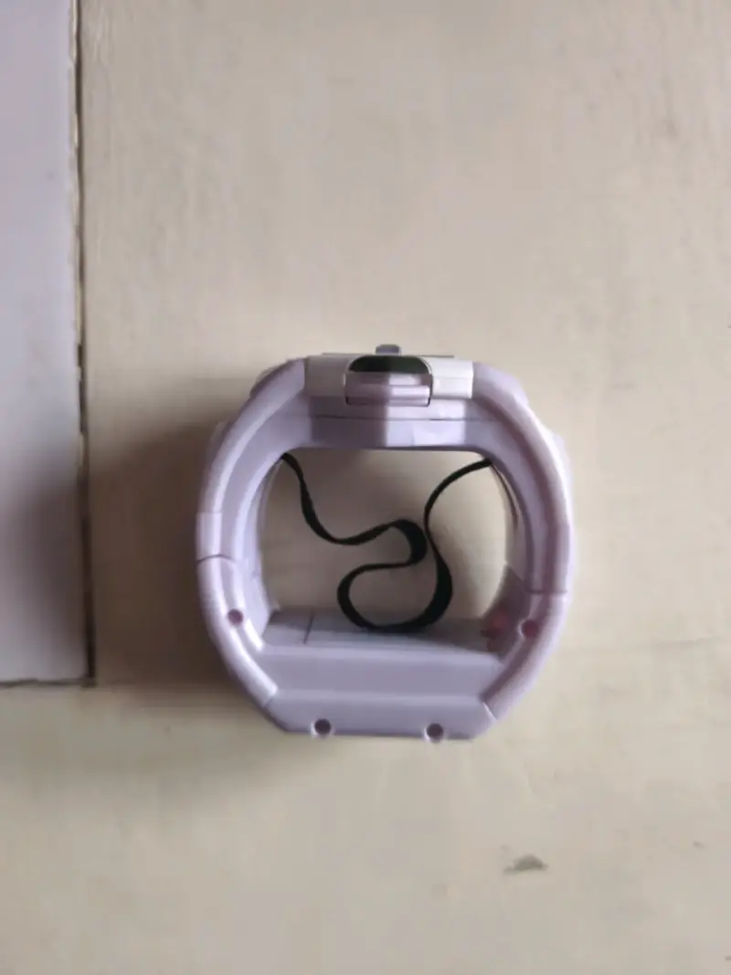 Z-ring Pokémon - 2