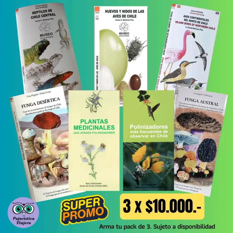 Pack de guías plegables de Naturaleza en Chile