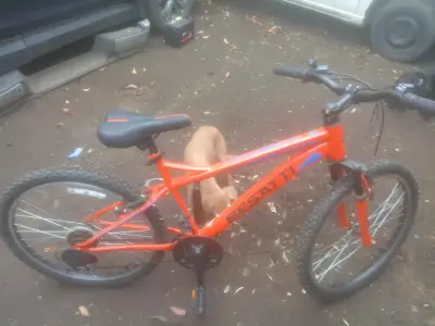 Bicicleta MTB Bestway Naranja - miniatura 3