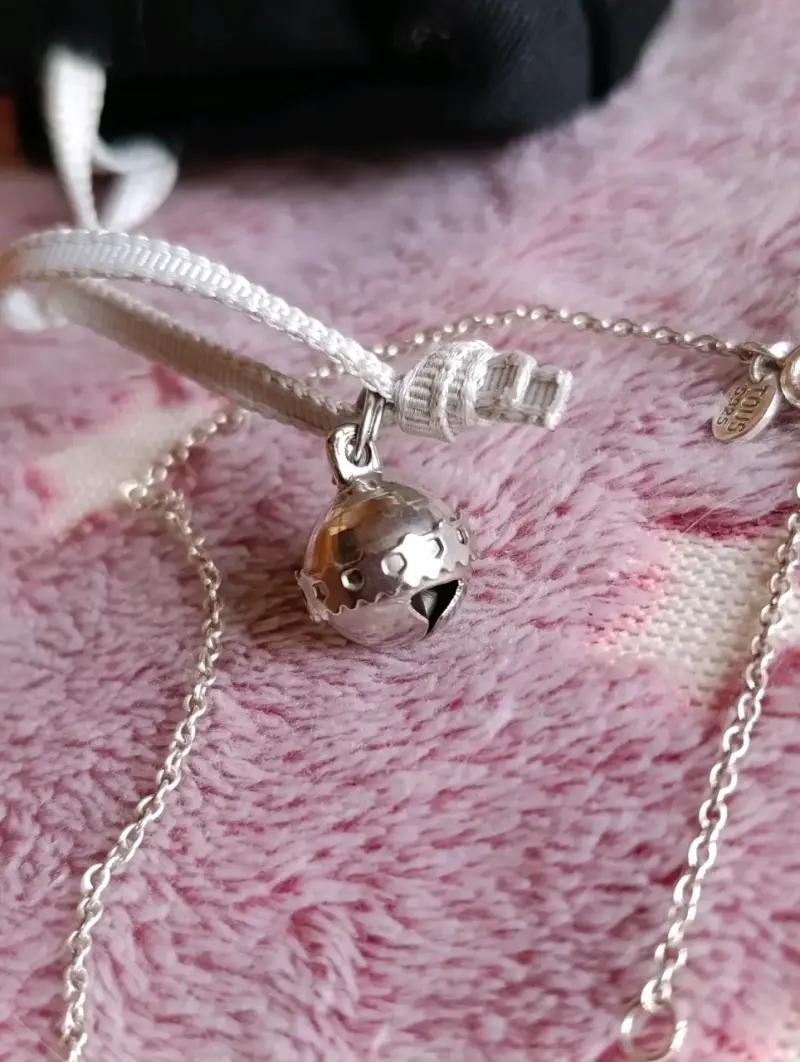 Collar de plata con colgante luna y oso Tous - 2