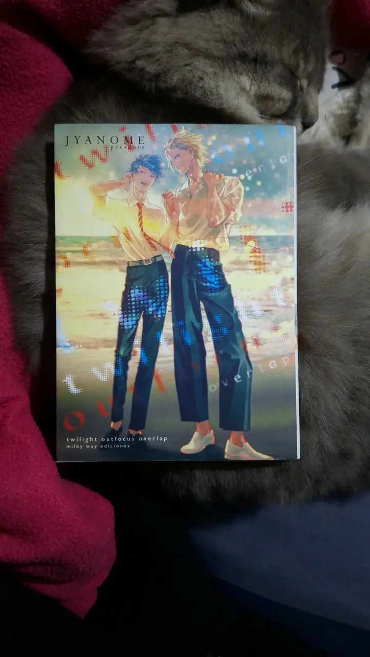 Manga Twilight Outfocus Overlap