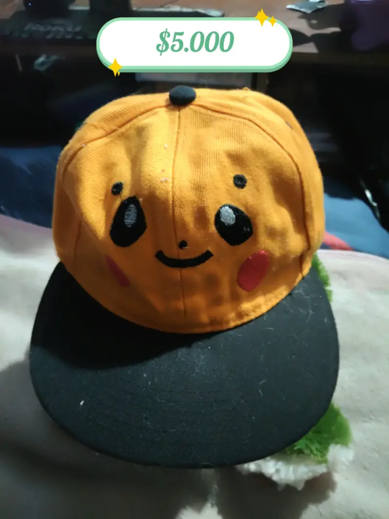 Gorras variadas - 2