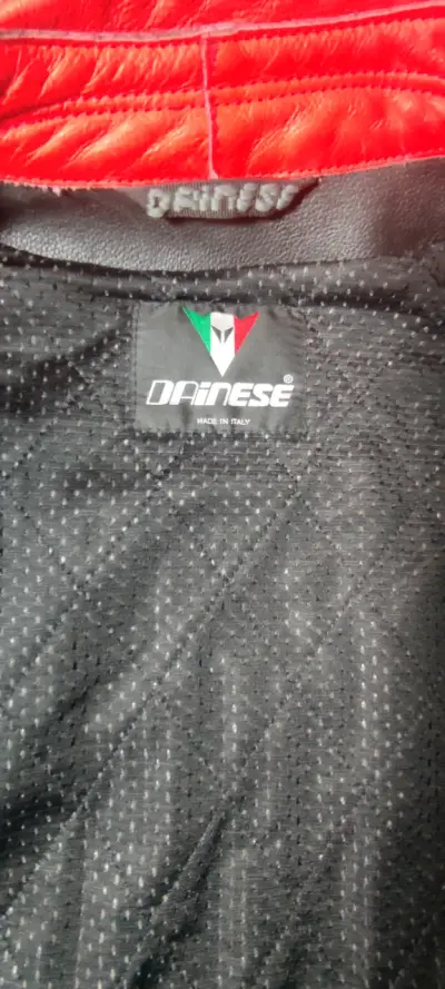 Chaqueta de cuero para moto Dainese Evolution - miniatura 2