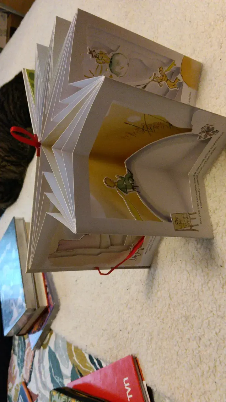 Libro carrusel El Principito de Salamandra - 2