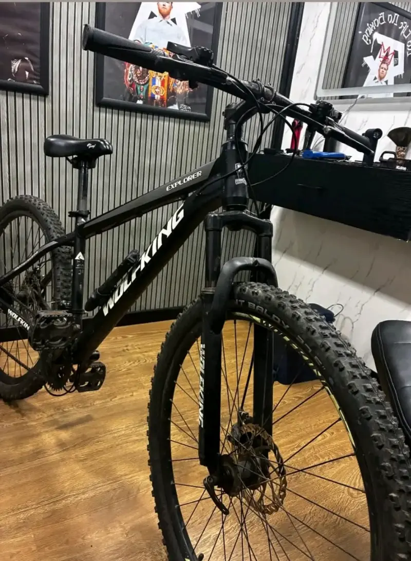 Bicicleta Wolfking Explorer Negra - 1