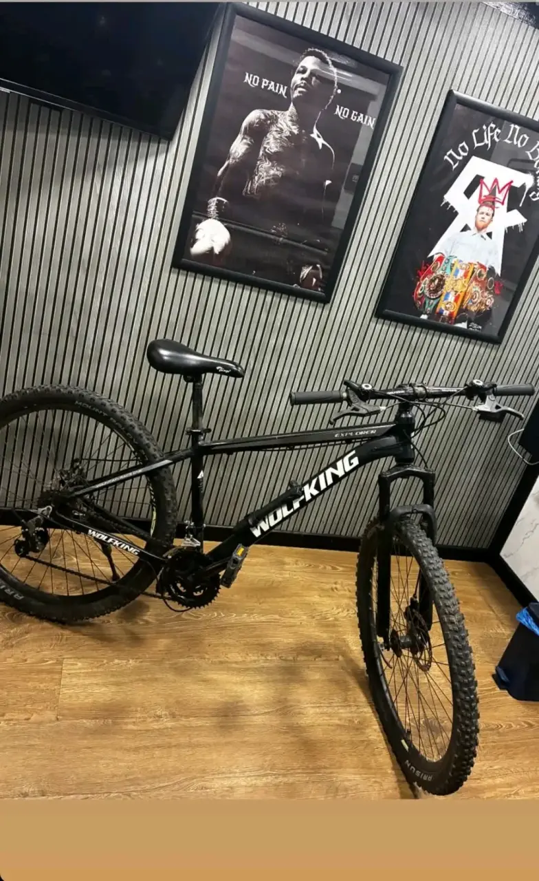 Bicicleta Wolfking Explorer Negra - 2