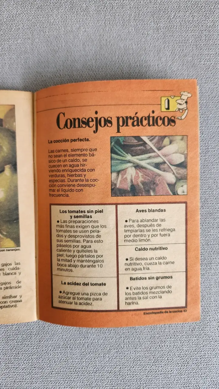 Enciclopedia de la Cocina por Laura Amenabar, rece - 6