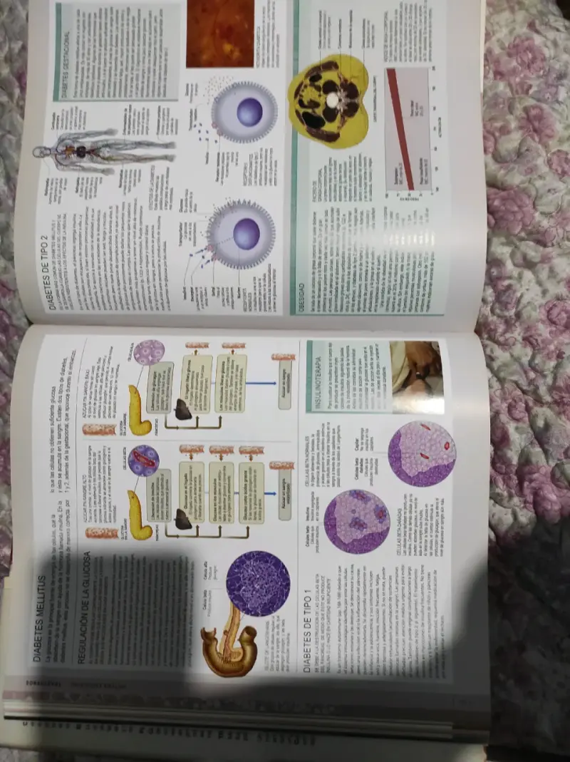 Libro Cuerpo Humano con DVD Incluido - 3