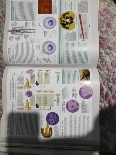 Libro Cuerpo Humano con DVD Incluido - miniatura 3