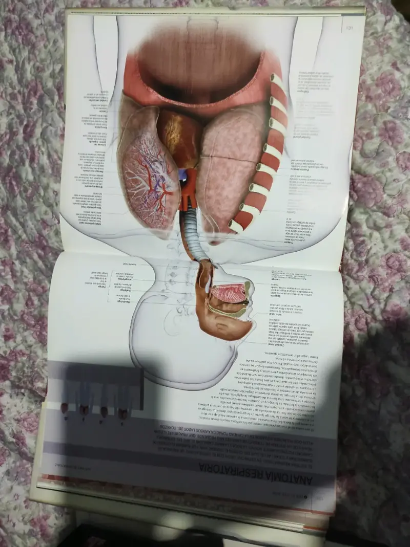 Libro Cuerpo Humano con DVD Incluido - 4