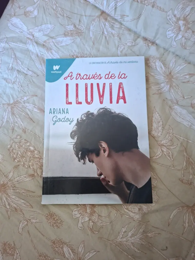 Trilogía de libros 'A través de' por Ariana Godoy - 3