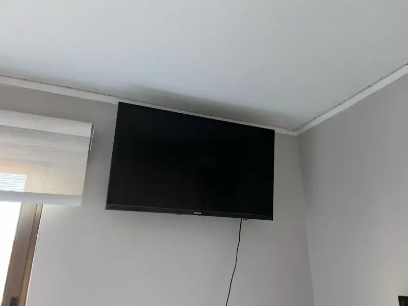 Televisor Samsung Smart TV 32” T4300 - 3