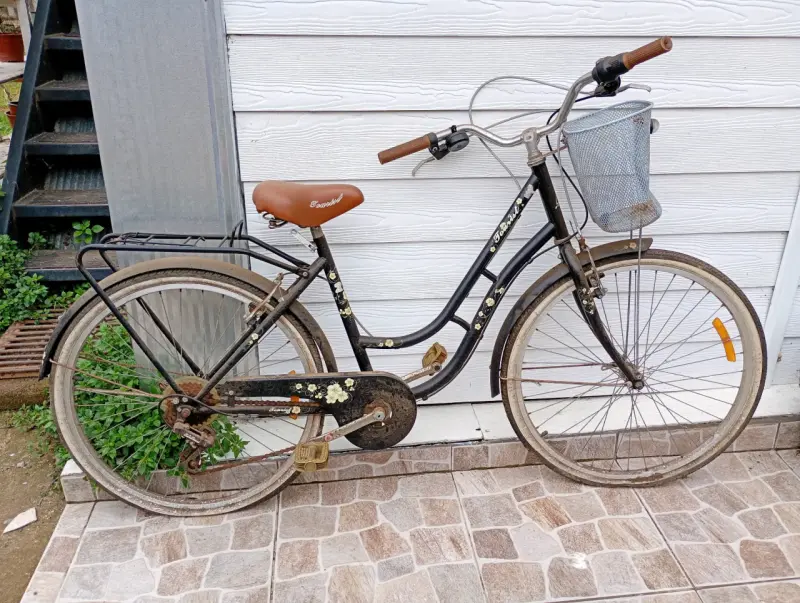 Bicicleta vintage con canasto y asiento marrón