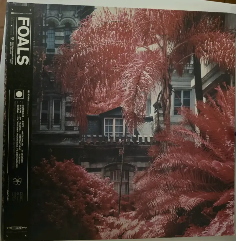 Vinilo Foals Everything Not Saved Will Be Lost - 1