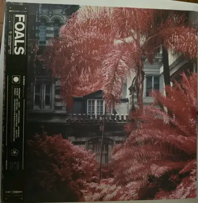 Vinilo Foals Everything Not Saved Will Be Lost - miniatura 1