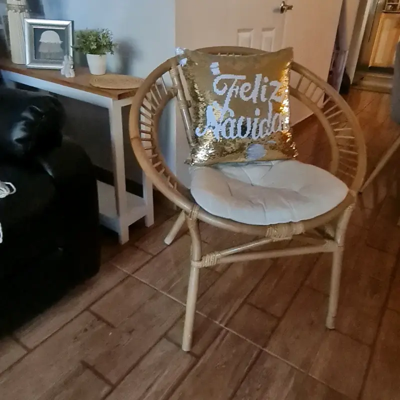 Silla de rattan natural con cojín