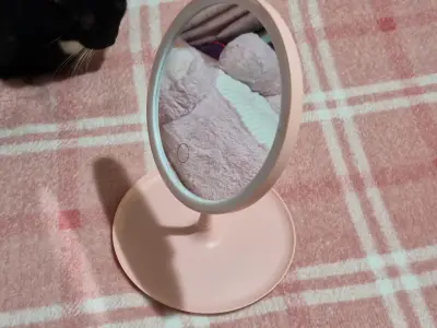 Espejo de maquillaje LED rosa - miniatura 2