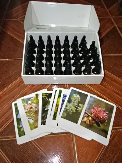 Set de Flores de Bach Crystal Herbs 38 Esencias - miniatura 2