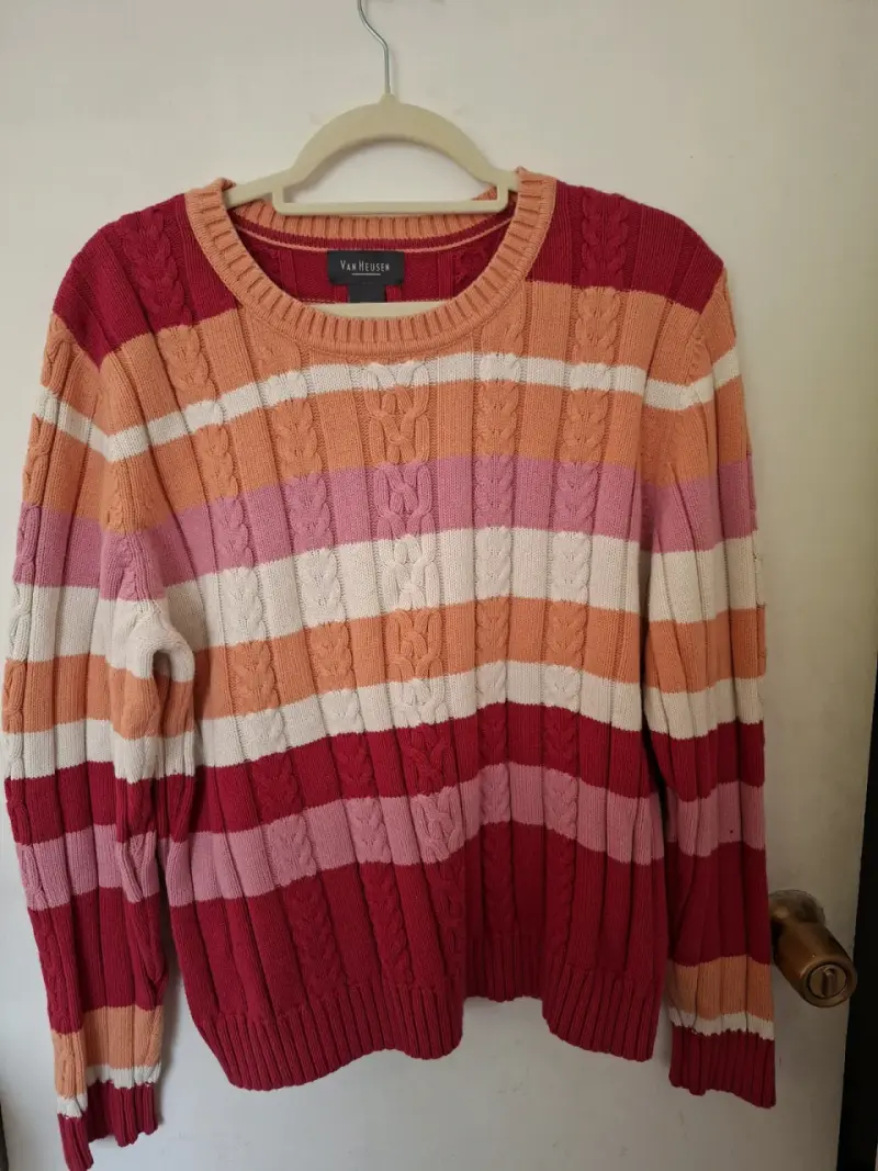Suéter de rayas multicolor Van Heusen