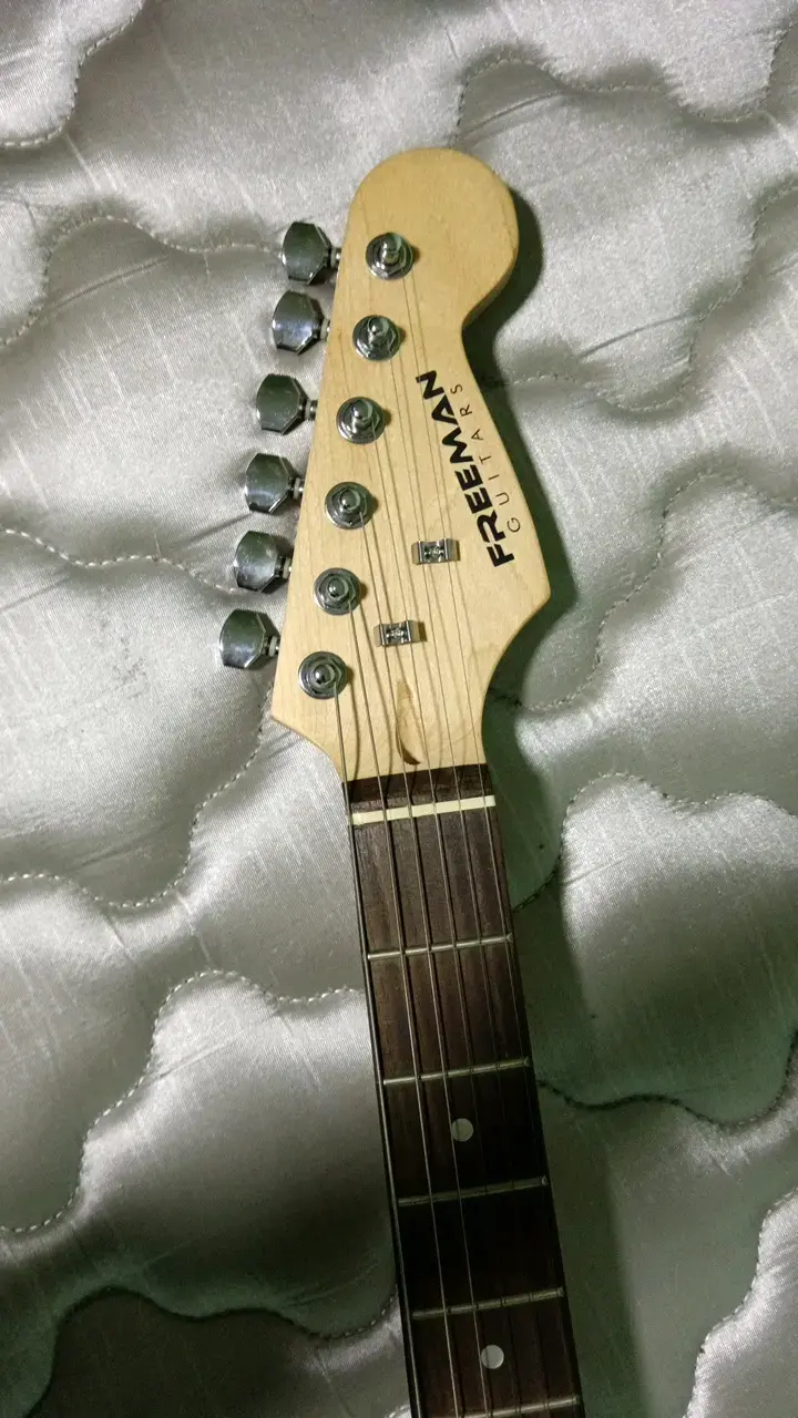 Guitarra eléctrica Freeman negra con trémolo - 3
