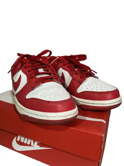 Zapatillas Nike Dunk Low - miniatura 1
