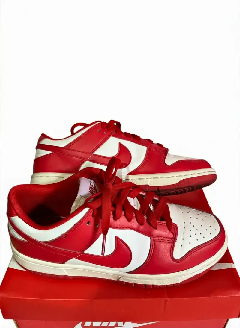 Zapatillas Nike Dunk Low - 3