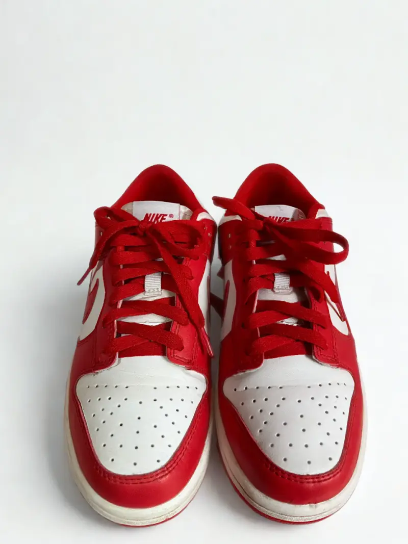 Zapatillas Nike Dunk Low - 4